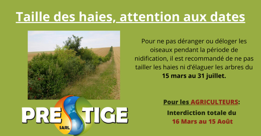 Taille des haies, attention aux dates › Prestige